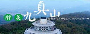 17c黄区