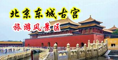 啊啊啊使劲操视频中国北京-东城古宫旅游风景区